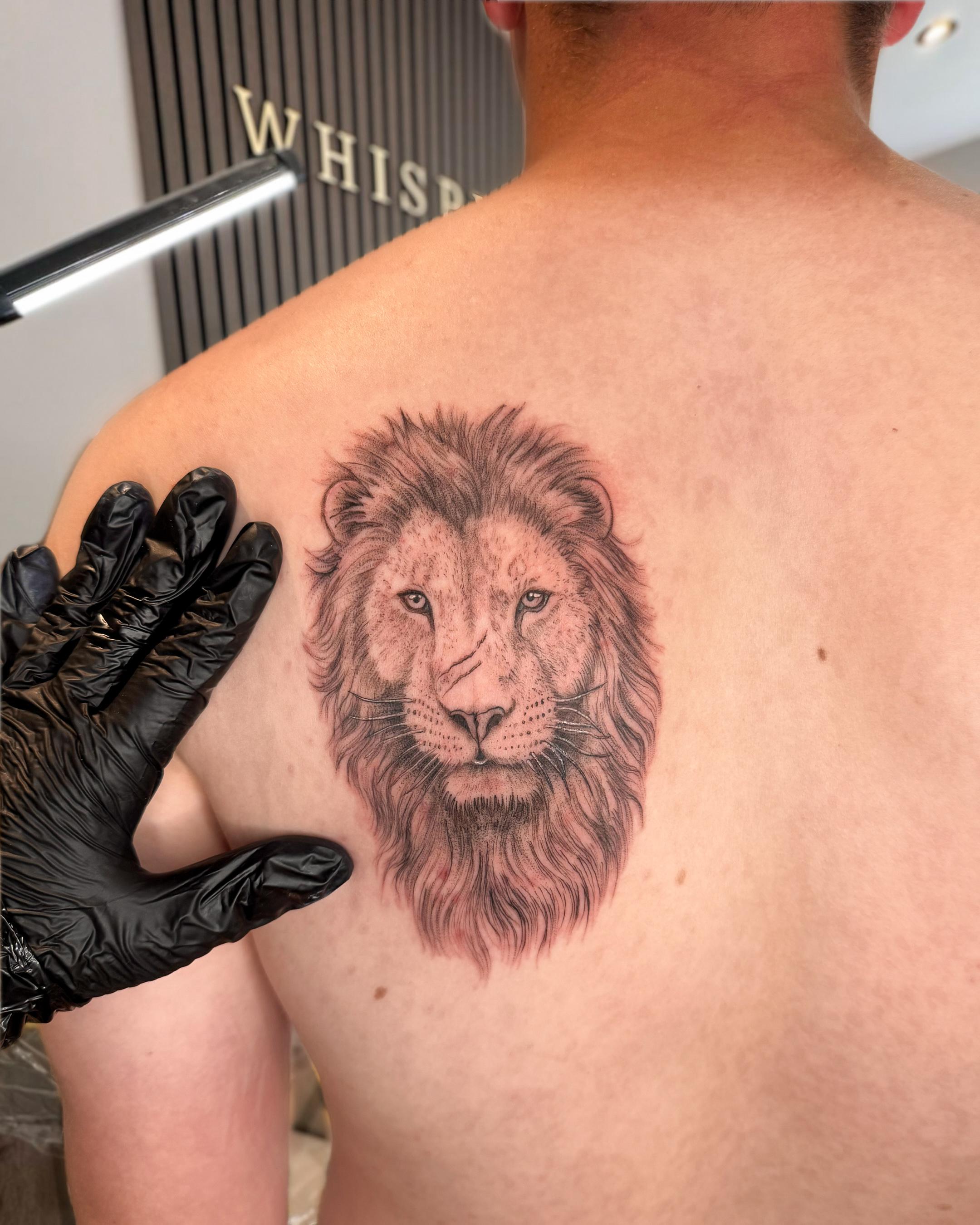 Lion Portrait
